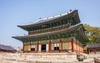 창덕궁에 '멧돼지 비상'... 2시간 수색 끝에 사살, 관람 중단 소동