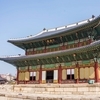 창덕궁에 '멧돼지 비상'... 2시간 수색 끝에 사살, 관람 중단 소동