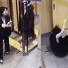 돌로 배현진 의원 15차례 가격한 10대...검찰 