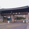 대학가 원룸서 '폭발 마약' 제조...외국인 125명 검거
