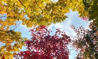 요즘 뜨는 국내 여행지, 가을맞이 떠나볼 만한 곳 3선