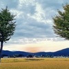처서, 가을의 시작을 알리지만… 올해는 무더위 지속 전망