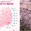 [서울편]2024년 벚꽃 축제? 여기가 명당일세