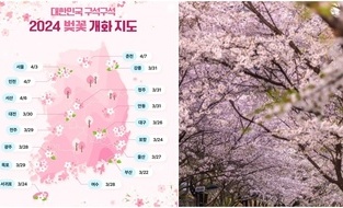 [서울편]2024년 벚꽃 축제? 여기가 명당일세