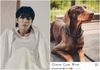 BTS 정국의 SNS 발언, 뉴진스 지지? 민희진 저격?