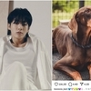 BTS 정국의 SNS 발언, 뉴진스 지지? 민희진 저격?